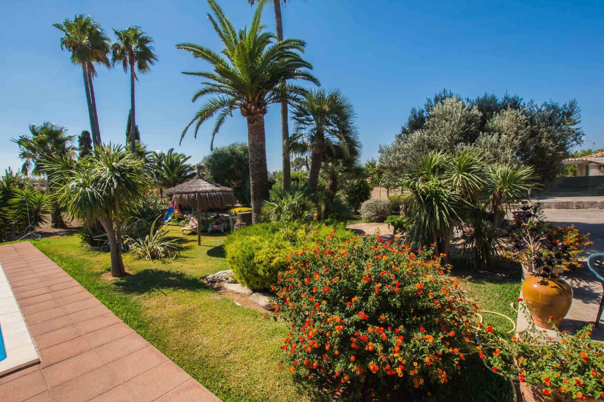 Coscoix - Hermosa Apartment Santa Margalida